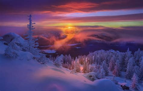 Earth Winter Fir Tree Snow Sunset Hd Wallpaper Peakpx