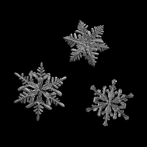 Why No Two Snowflakes Are Identical And 4 Other Fun Facts Discover