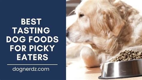 8 Best Tasting Dog Foods For Picky Eaters In 2023 Dognerdz