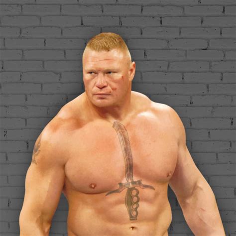 Brock Lesnar Before And After