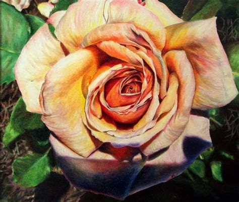 We did not find results for: 35 Beautiful Flower Drawings and Realistic Color Pencil ...