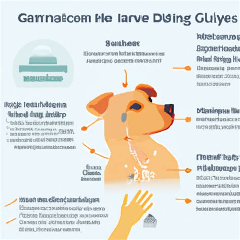 How To Get Rid Of Hives On Dogs One Top Dog