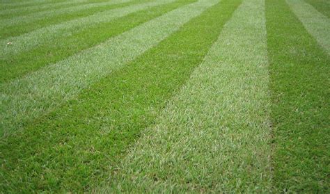 Council Cutback Challenges Turf Matters Council Cutbacks Lead To