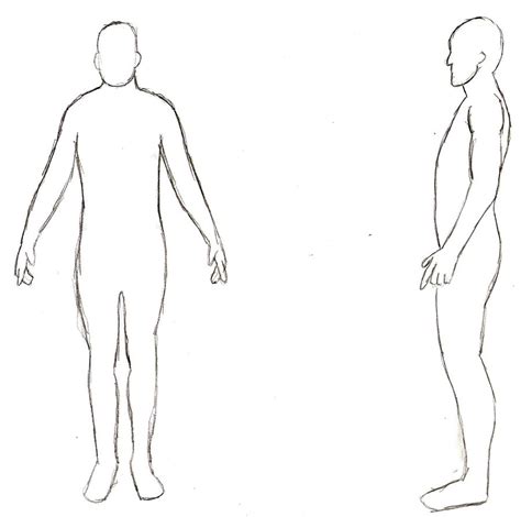 Blank human body template for medical infographic. human body outline side view - Clip Art Library