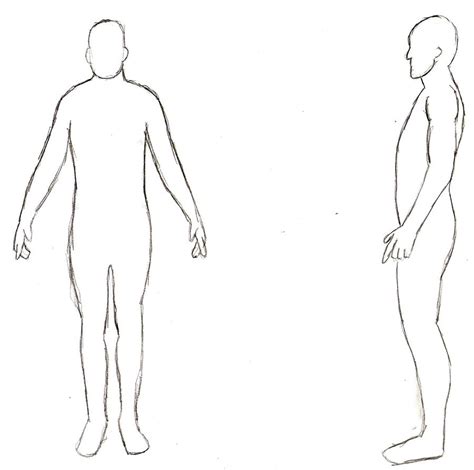 The semispinalis dorsi and semispinalis capitis muscles also extend the back. human body outline side view - Clip Art Library