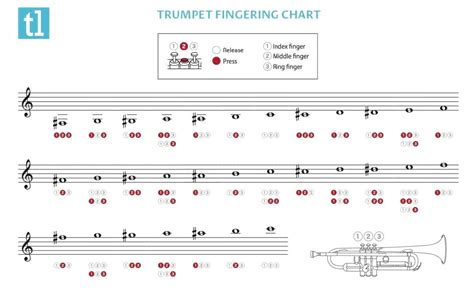 Trumpet Fingering Chart Interactive Tool For All Trumpet 50 Off