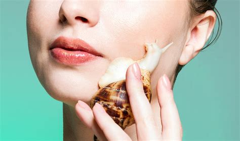Snail Slime A Miracle Skin Cream Or A Farce Women Fitness