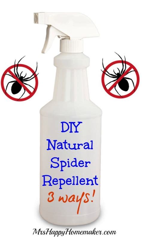 Diy Natural Spider Repellent 3 Ways Elijah Lozano