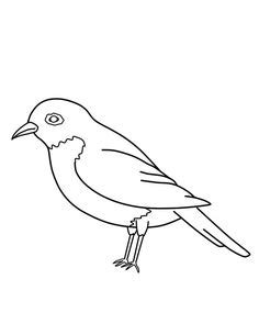 Here are two new birdorable coloring pages for some cute coloring fun. 25 Robin Coloring Page ideas | coloring pages, coloring ...