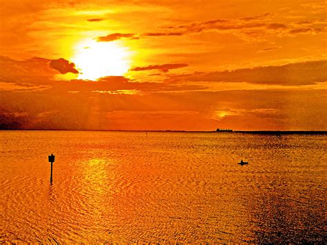 Flickrphqsaqd Shimmering Tampa Bay Rays Of Golden Sun