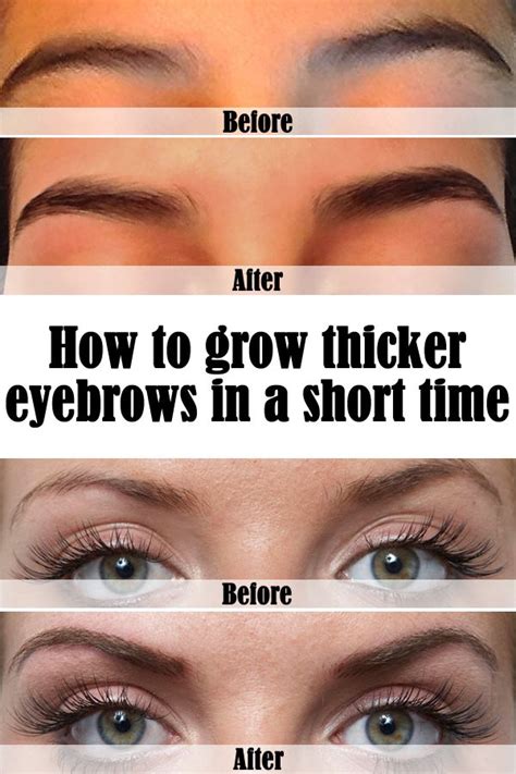 How To Grow Thicker Eyebrows In A Short Time How To Grow Eyebrows