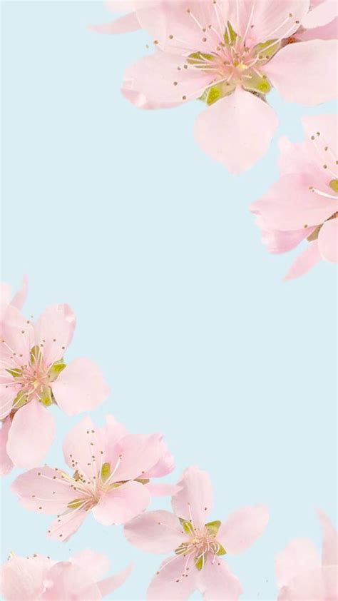 Download Pretty Background Floral Wallpaper Iphone Pink Flower By