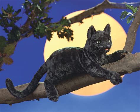 Realistic Black Cat Stuffed Animal