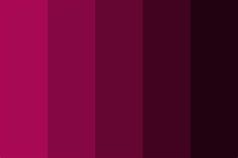 Raspberry Palette Color Palette