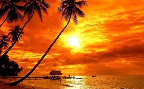 Hd Wallpaper Bora Bora Tropical Sunset Beach Palm Trees Red Sky Clouds