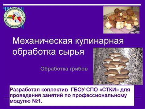 Кулинарная обработка диеты 10 Механическая кулинарная обработка сырья. Обработка грибов - презентация Механическая кулинарная обработка сырья. Обработка грибов - презентация Кулинарная обработка диеты 10