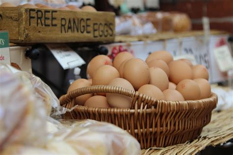 They are playfully referred to as easter egg chickens due to their eggs being multicoloured. The Top 17 Chicken Breed For Laying 250-300 Eggs A Year ...