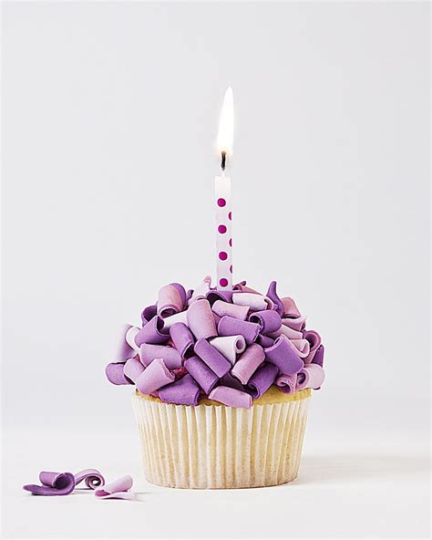 Purple Cupcake Single Happy Birthday Cupcakes Purple Happy Birthday