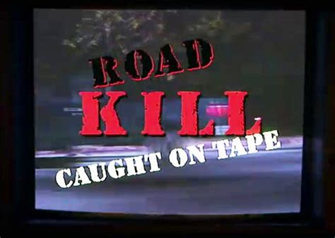 Roadkill Caught On Tape