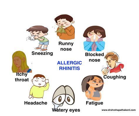 Nasal Allergies And Allergy Proofing Dr Shreha Pathak Ent Specialist