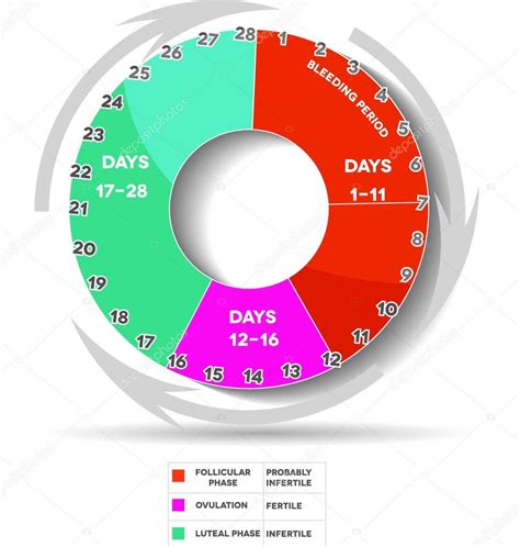 Lista Foto Calendario Menstrual Dias Fertiles E Infertiles Cena Hermosa