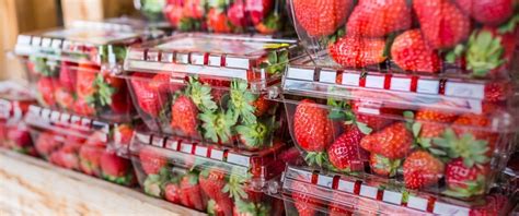 Preservation Is Key With Fruit Packaging Solutions