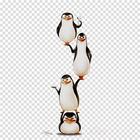 Penguin Clipart Transparent Background And Other Clipart Images On