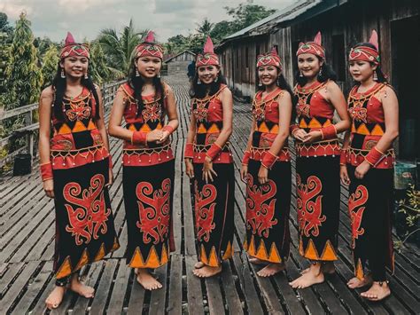Sejarah Asal Usul Suku Dayak Berasal Dari Kalimantan Indozone Life