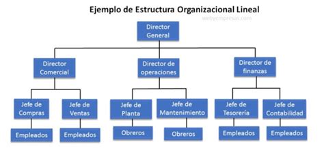 4 Ejemplos De Estructura Organizacional Web Y Empresas