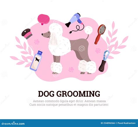 Salón De Cuidado De Mascotas Afiche De Publicidad Lindo Perro Caniche Con Herramientas De