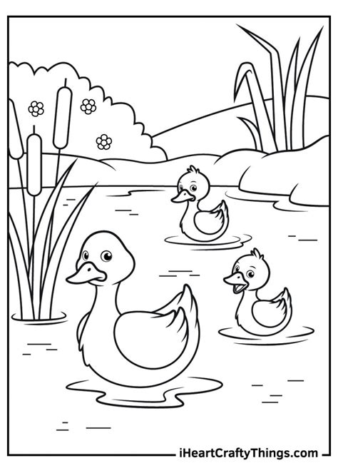 Duck Coloring Pages 100 Free Printables