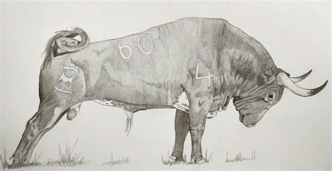 Pin By Griselda Balderrama On Casabindo Bull Art Animal Drawings