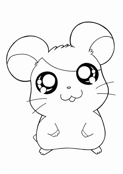 Hamster Coloring Pages Best Coloring Pages For Kids