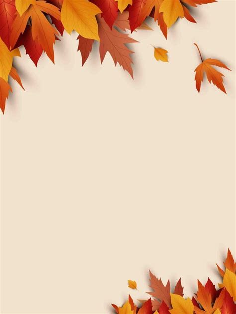 simple autumn related promotion fall wallpaper flower