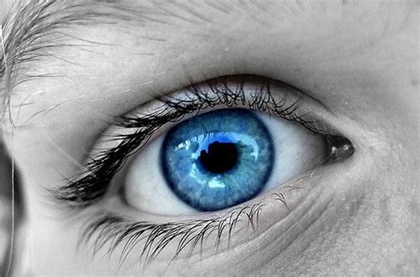 No Complicado Uganda Construir Ojos Azules Mutacion Genetica Estrecho