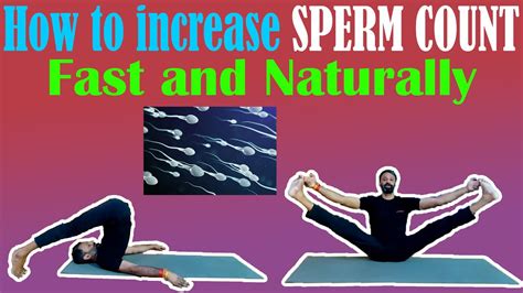 10 Best Exercises To Keep A Male S Reproductive System Healthy Youtube