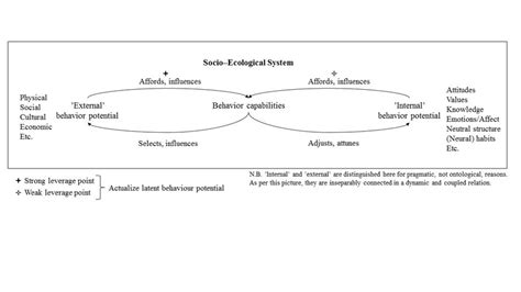 The Dynamical And Ecological Behavior System Download Scientific Diagram