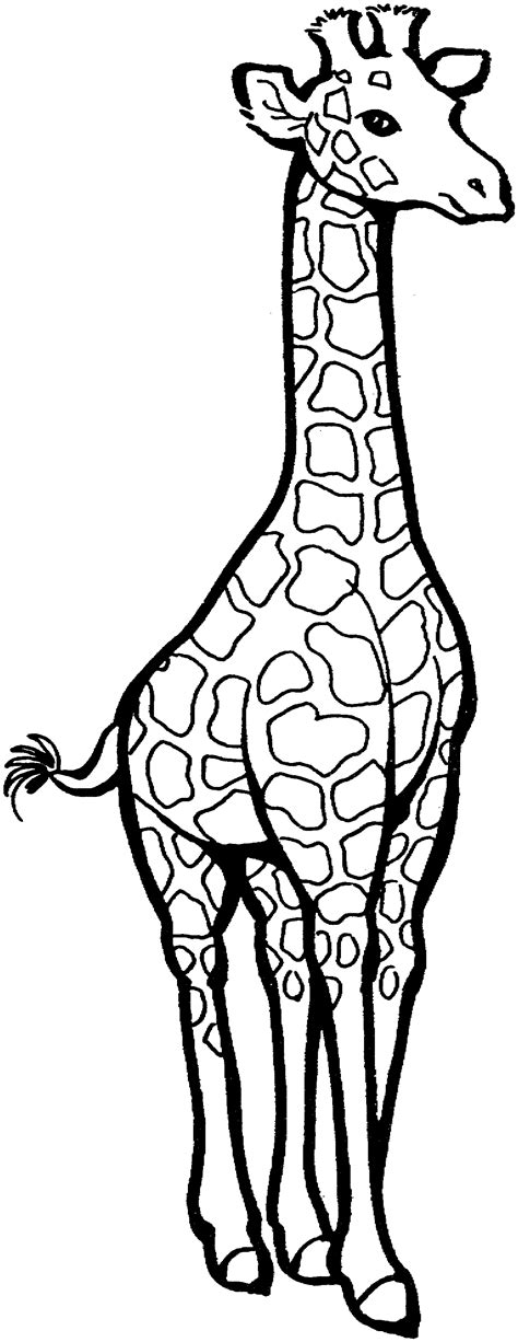 Printable Giraffe Coloring Pages