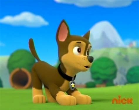 Paw Patrol Images Chase The German Shepherd Wallpaper And Background
