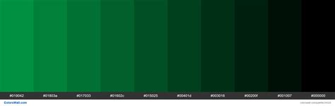 Shades Xkcd Color Emerald 01a049 Hex