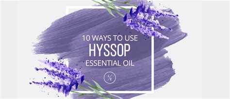 10 Ways To Use Hyssop Essential Oil By Lindsey Elmore Pharmd Bcps