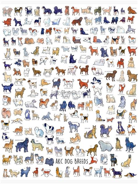 Dog Breed Poster Dog Breed Art Dog Poster Akc Dog Breeds Dog Chart