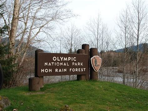 Hoh Rainforest Campground Olympic National Park Recreation Gov