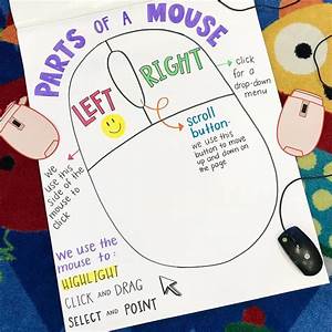 Parts Of A Mouse This Anchor Chart Is Super Helpful For My Kinder