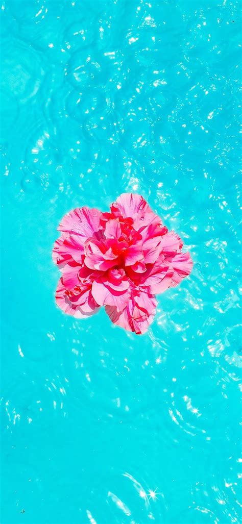 Water And Flower Wallpapers Top Free Water And Flower Backgrounds