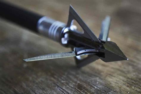 Top 8 Best Fixed Blade Broadhead Reviews Rtto