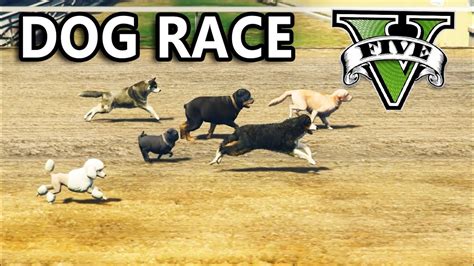GTA V - Dog Race - YouTube