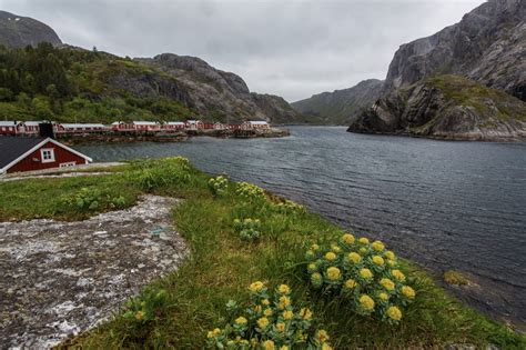 Lofoten Nusfjord Green Vincos Images
