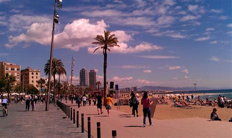 Informació pràctica per viure a la ciutat de barcelona: una passeggiata sul mare a Barcellona - Viaggi Verde Acido