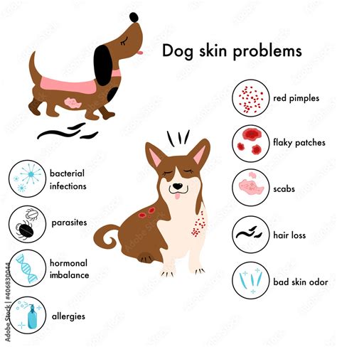 Fototapeta Kuchenna Dog Skin Problemsdiseaseinfographic Icons With